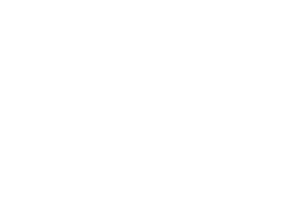 Renault Bodemer blanc