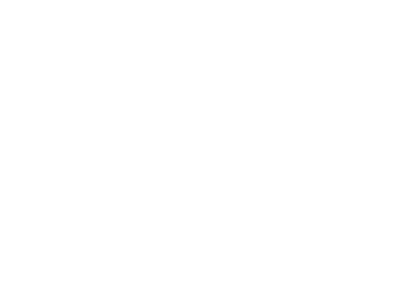 West Concept Maconnerie blanc