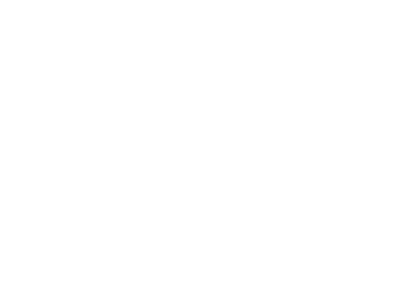 Armee de Terre blanc